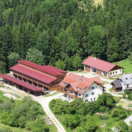 Ferienwohnungen Bauernhof Schilcher Sankt Stefan im Lavanttal Extérieur photo