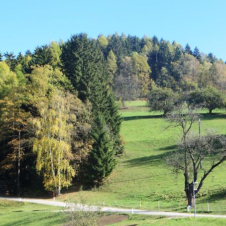 Ferienwohnungen Bauernhof Schilcher Sankt Stefan im Lavanttal Extérieur photo
