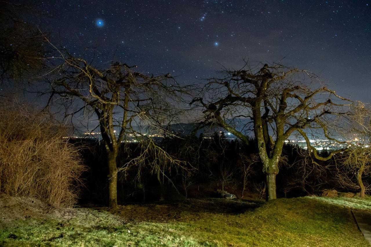 Ferienwohnungen Bauernhof Schilcher Sankt Stefan im Lavanttal Extérieur photo