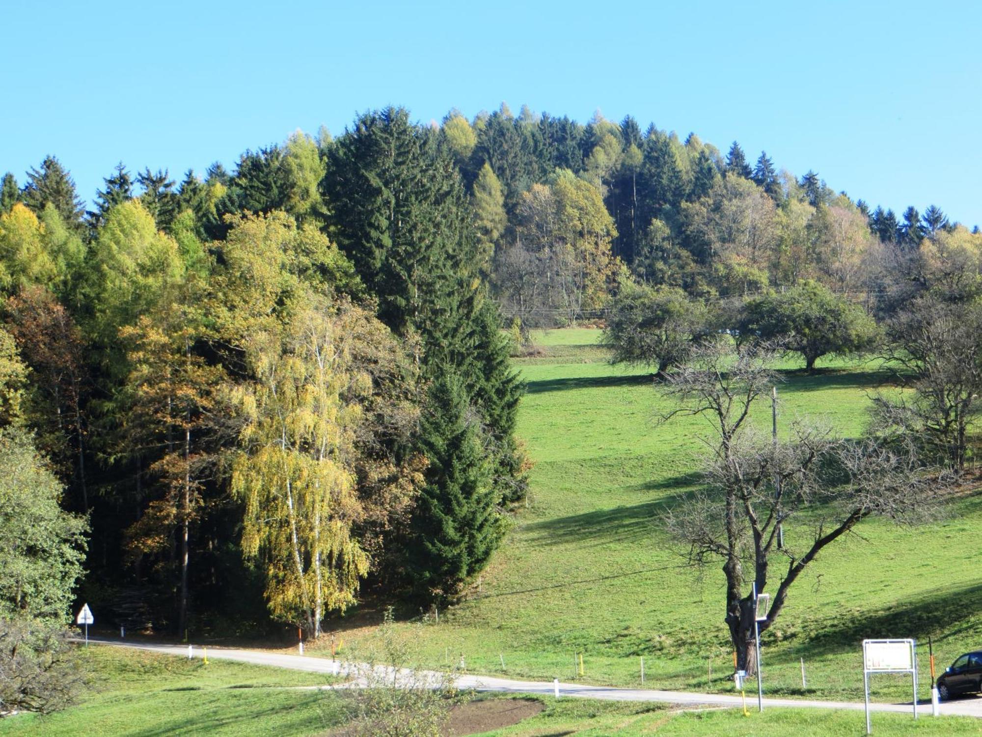Ferienwohnungen Bauernhof Schilcher Sankt Stefan im Lavanttal Extérieur photo