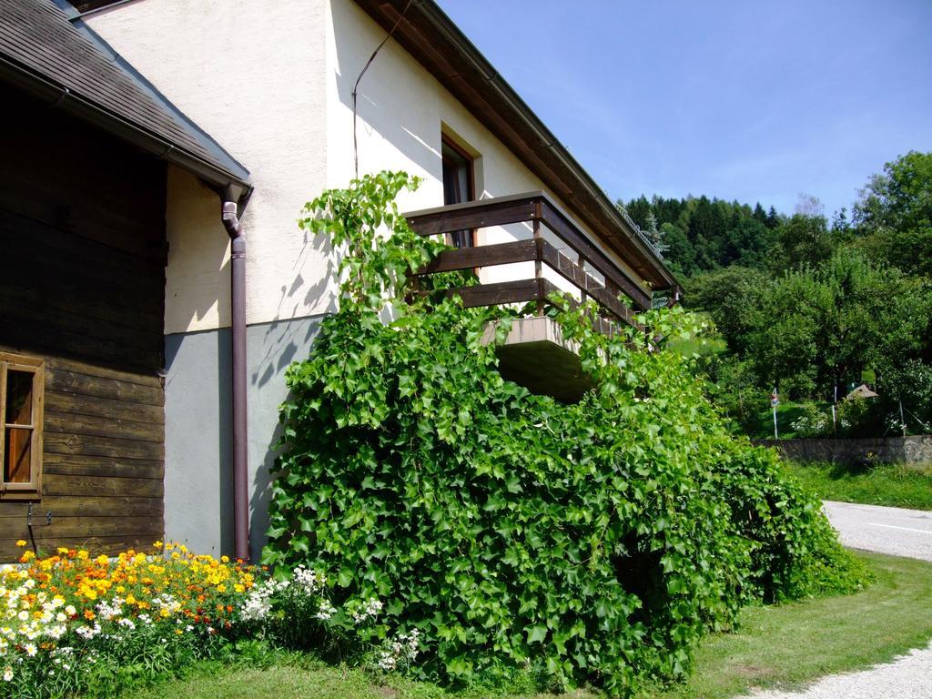 Ferienwohnungen Bauernhof Schilcher Sankt Stefan im Lavanttal Extérieur photo