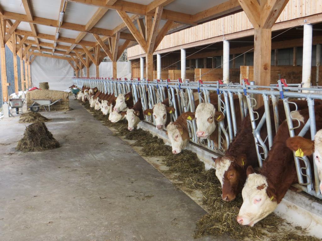 Ferienwohnungen Bauernhof Schilcher Sankt Stefan im Lavanttal Extérieur photo
