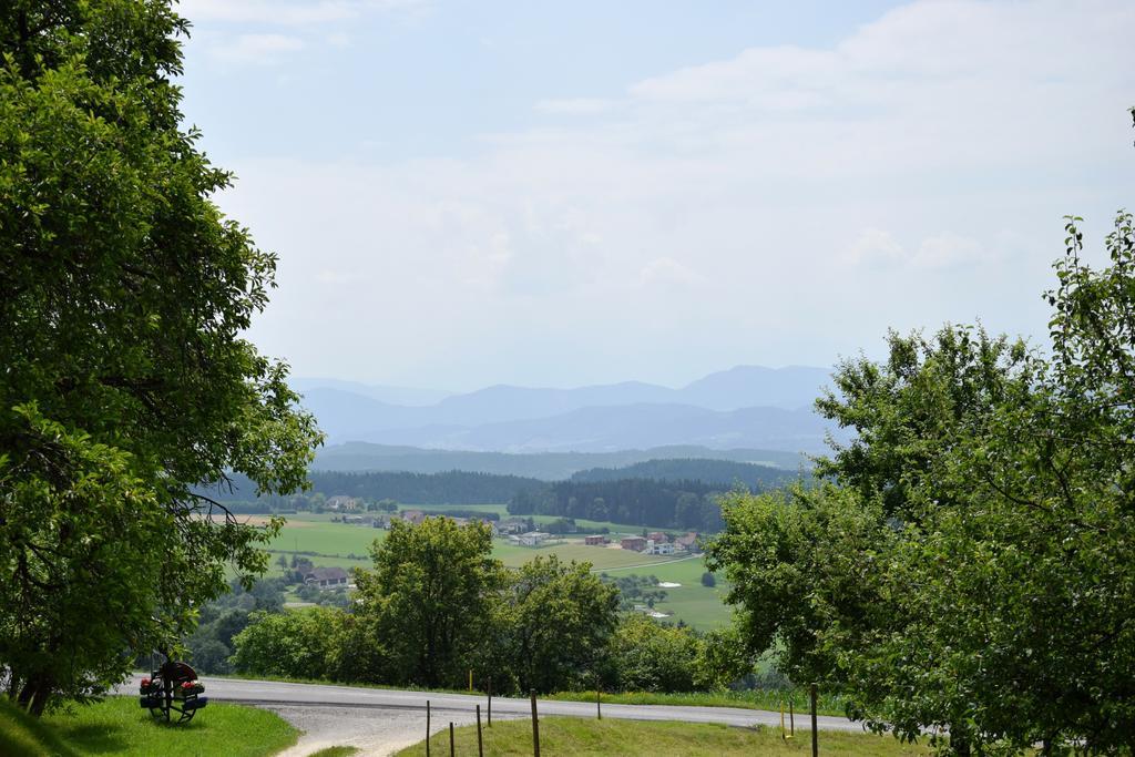 Ferienwohnungen Bauernhof Schilcher Sankt Stefan im Lavanttal Extérieur photo