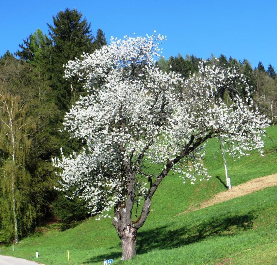 Ferienwohnungen Bauernhof Schilcher Sankt Stefan im Lavanttal Extérieur photo