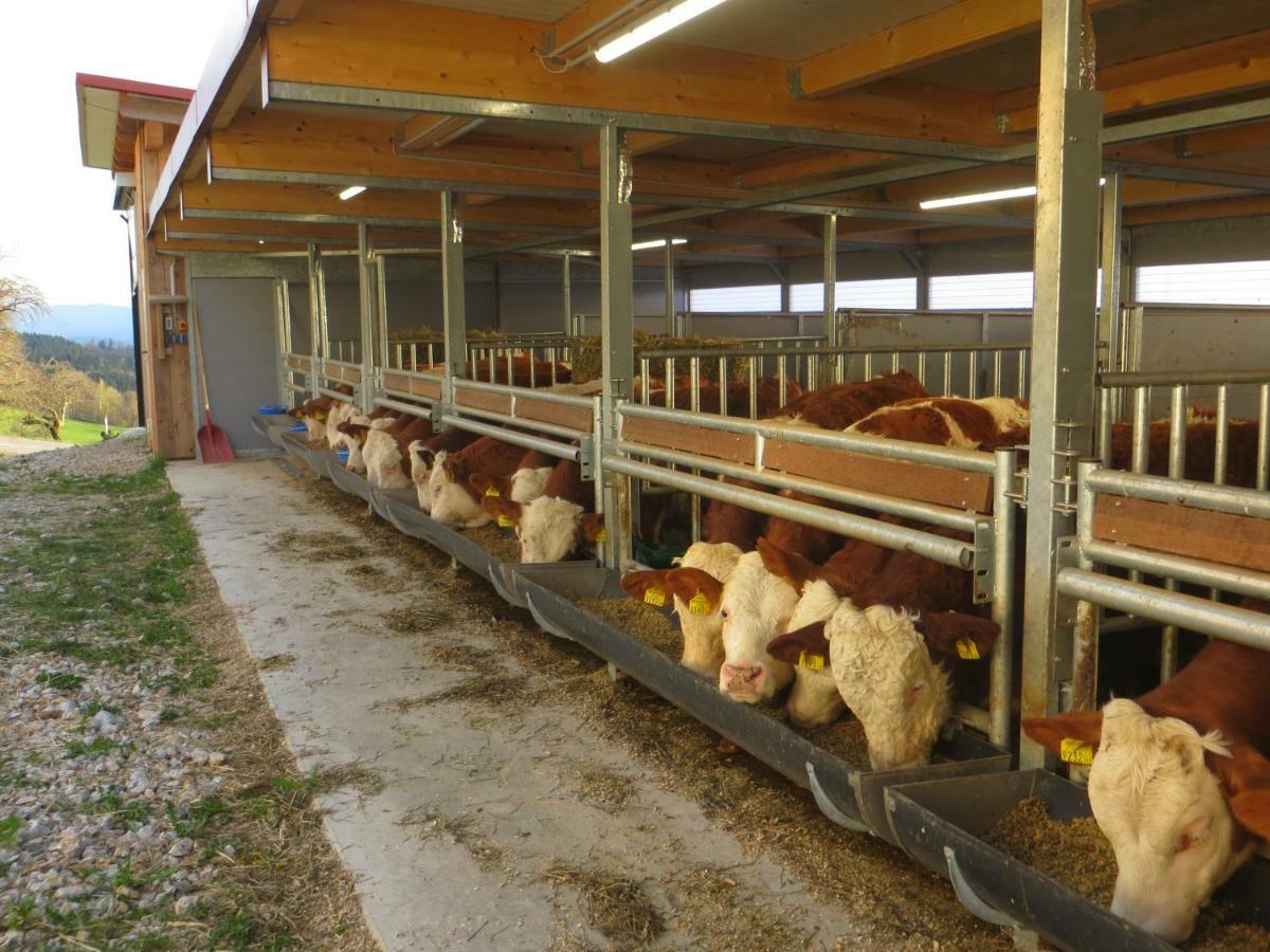 Ferienwohnungen Bauernhof Schilcher Sankt Stefan im Lavanttal Extérieur photo